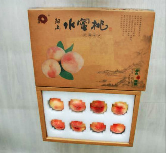 泡棉内衬
